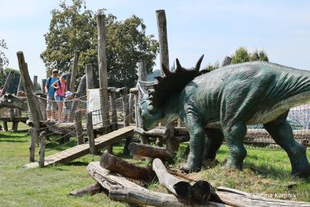Praznični, 15. Čarobni dan z dobrodelno humanitarno noto (26)